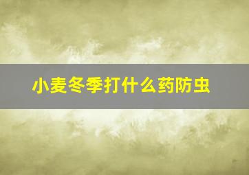 小麦冬季打什么药防虫