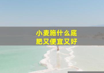 小麦施什么底肥又便宜又好