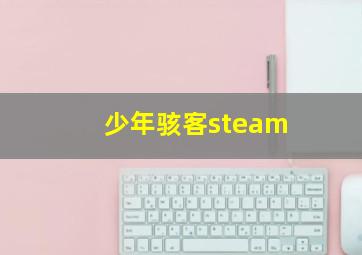 少年骇客steam