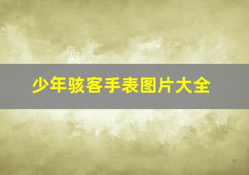 少年骇客手表图片大全