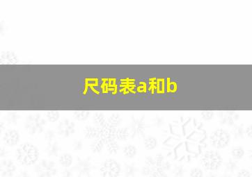 尺码表a和b