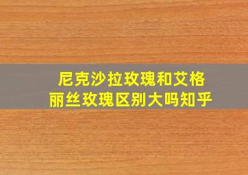 尼克沙拉玫瑰和艾格丽丝玫瑰区别大吗知乎