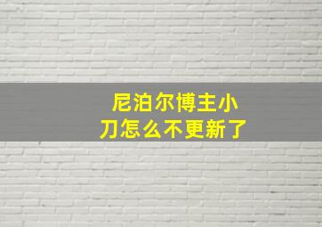 尼泊尔博主小刀怎么不更新了