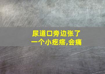 尿道口旁边张了一个小疙瘩,会痛