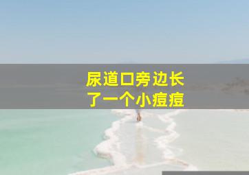 尿道口旁边长了一个小痘痘