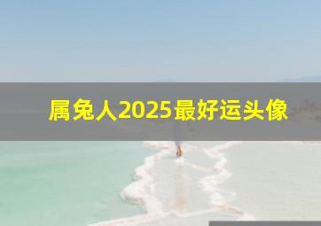 属兔人2025最好运头像