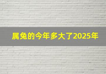 属兔的今年多大了2025年