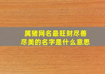 属猪网名最旺财尽善尽美的名字是什么意思