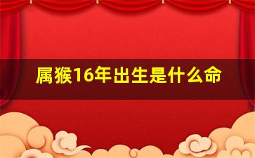 属猴16年出生是什么命