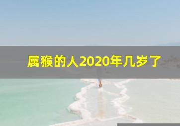 属猴的人2020年几岁了