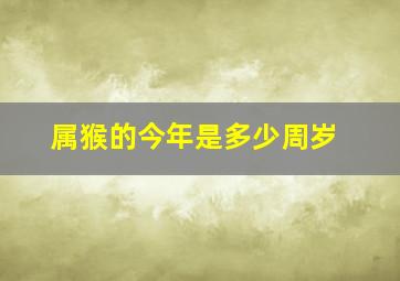 属猴的今年是多少周岁