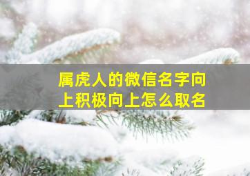 属虎人的微信名字向上积极向上怎么取名