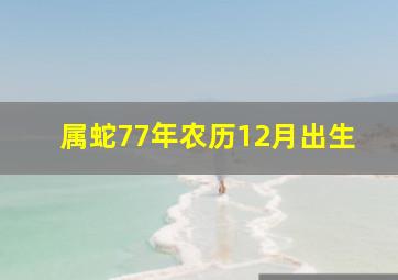 属蛇77年农历12月出生