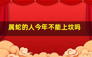 属蛇的人今年不能上坟吗