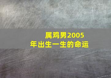 属鸡男2005年出生一生的命运