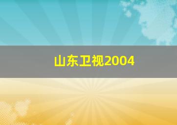 山东卫视2004