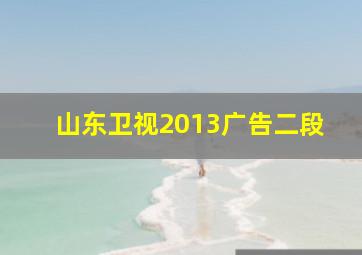 山东卫视2013广告二段