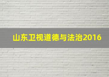 山东卫视道德与法治2016