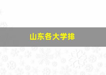 山东各大学排