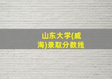 山东大学(威海)录取分数线