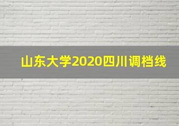 山东大学2020四川调档线