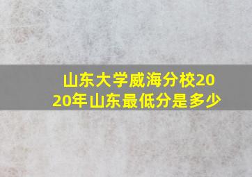 山东大学威海分校2020年山东最低分是多少