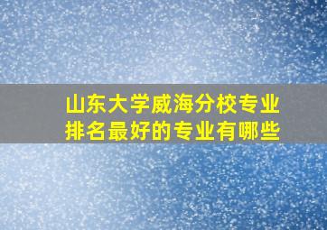 山东大学威海分校专业排名最好的专业有哪些