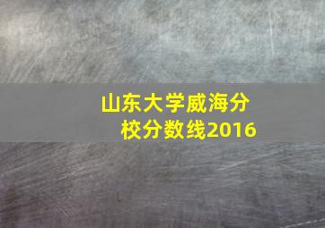 山东大学威海分校分数线2016