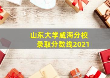 山东大学威海分校录取分数线2021