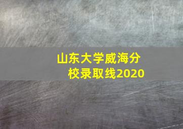 山东大学威海分校录取线2020