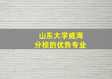 山东大学威海分校的优势专业