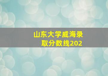 山东大学威海录取分数线202