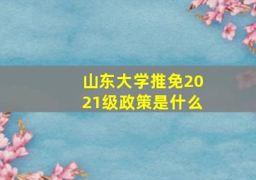 山东大学推免2021级政策是什么