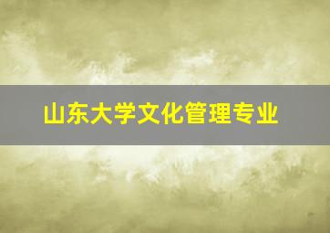 山东大学文化管理专业