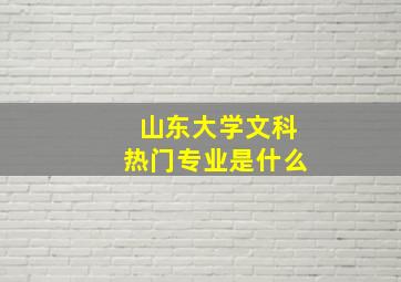 山东大学文科热门专业是什么