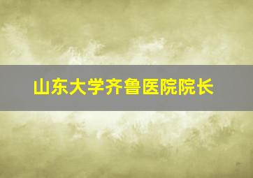 山东大学齐鲁医院院长