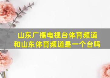 山东广播电视台体育频道和山东体育频道是一个台吗