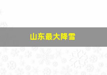 山东最大降雪