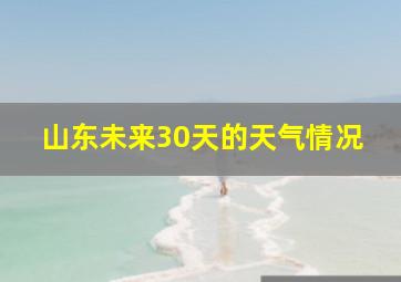 山东未来30天的天气情况