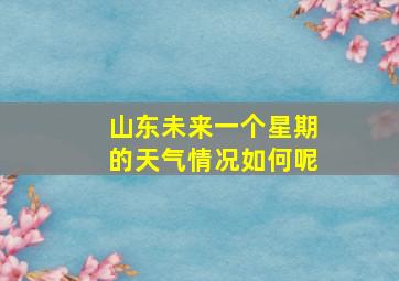 山东未来一个星期的天气情况如何呢