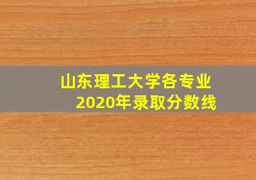 山东理工大学各专业2020年录取分数线