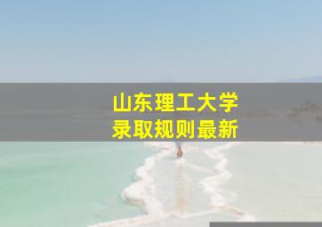 山东理工大学录取规则最新