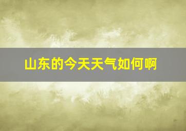 山东的今天天气如何啊