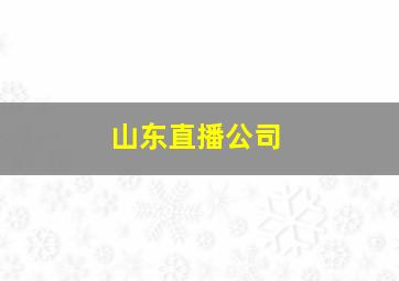 山东直播公司