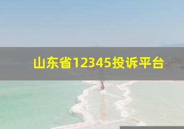 山东省12345投诉平台