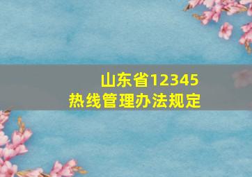 山东省12345热线管理办法规定