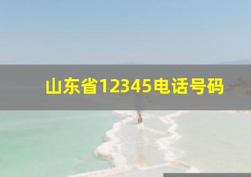 山东省12345电话号码