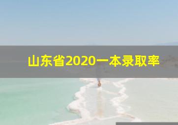 山东省2020一本录取率