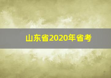 山东省2020年省考