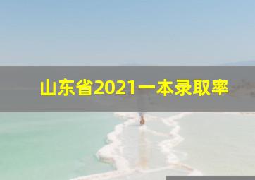 山东省2021一本录取率